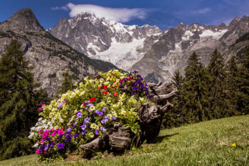 Baita Ermitage | Ristorante Ermitage Courmayeur